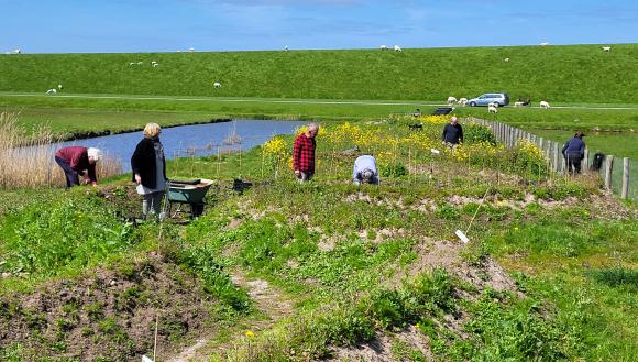 Leesbaar landschap met mensen