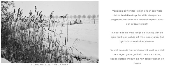 Inge Zwerver Mijn dorp in de sneeuw
