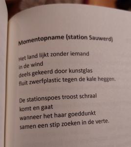 Stationskat Sauwerd Annet Zaagsma